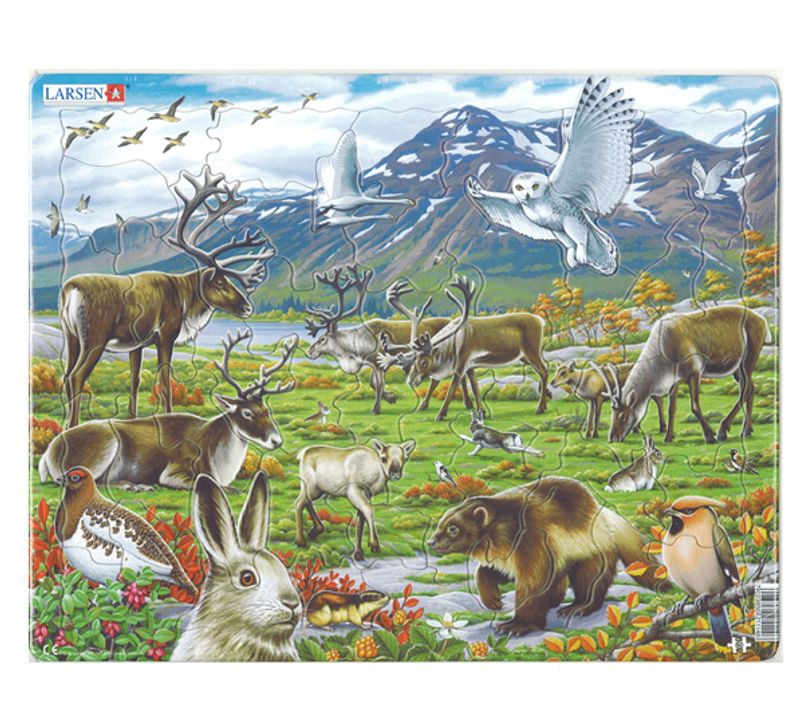 Puzzle, Norwegian fauna 