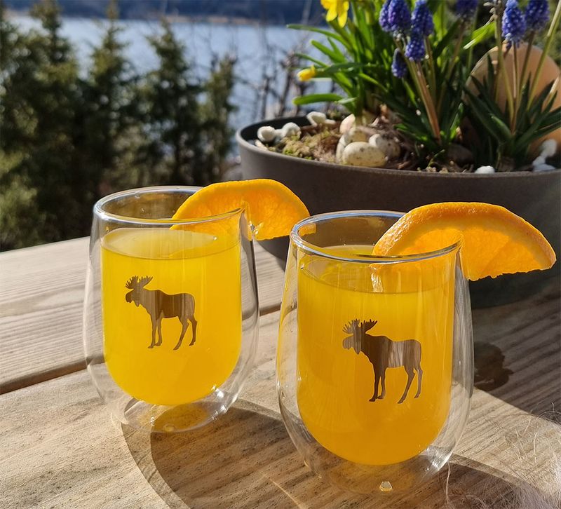 Silver Moose double wall glass